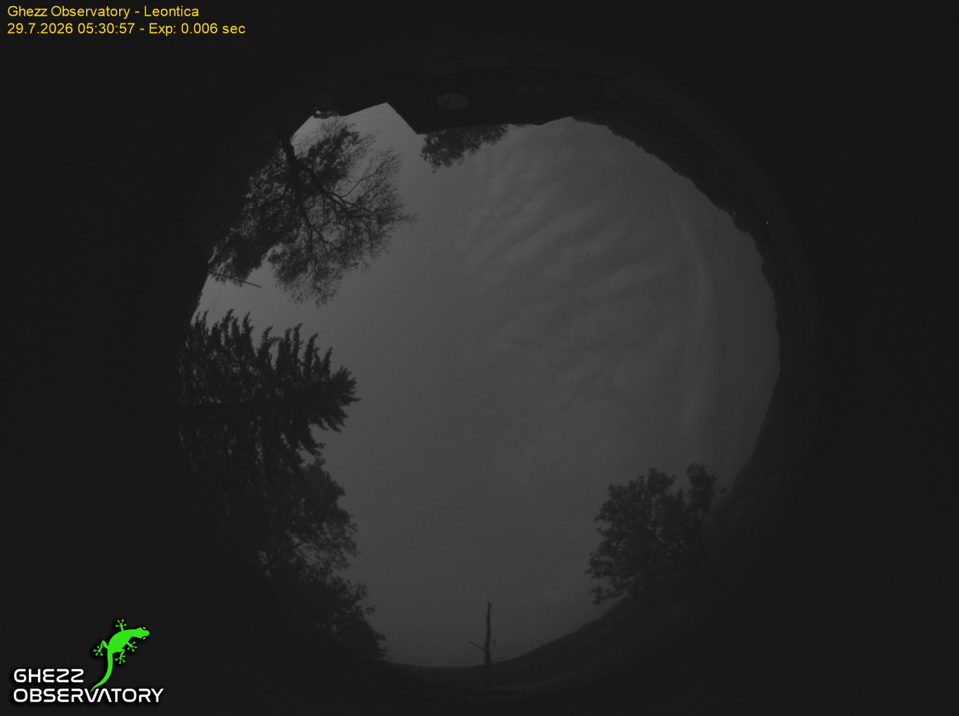 All Sky Camera